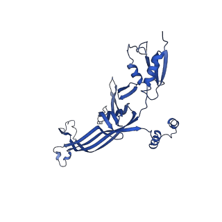 20315_6pee_B_v1-3
InvG secretin domain beta-barrel from Salmonella SPI-1 injectisome NC-base