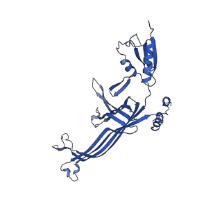 20315_6pee_C_v1-3
InvG secretin domain beta-barrel from Salmonella SPI-1 injectisome NC-base