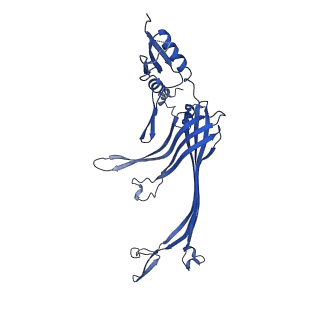 20315_6pee_G_v1-3
InvG secretin domain beta-barrel from Salmonella SPI-1 injectisome NC-base