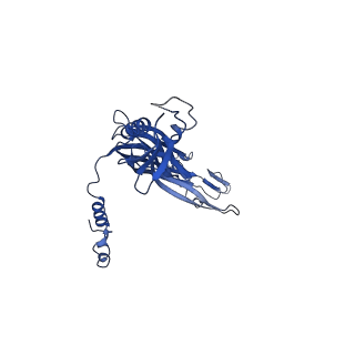 20315_6pee_M_v1-3
InvG secretin domain beta-barrel from Salmonella SPI-1 injectisome NC-base