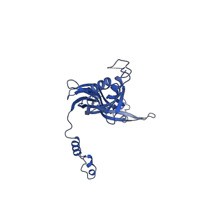 20315_6pee_N_v1-2
InvG secretin domain beta-barrel from Salmonella SPI-1 injectisome NC-base