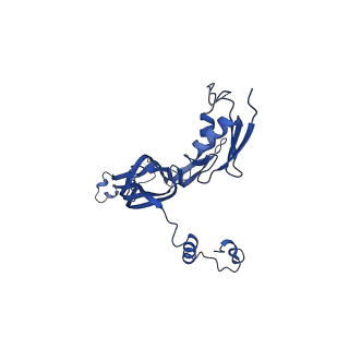 20315_6pee_P_v1-2
InvG secretin domain beta-barrel from Salmonella SPI-1 injectisome NC-base