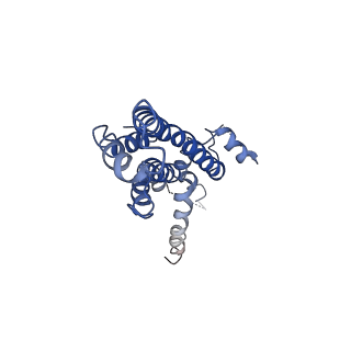 20316_6pem_3_v1-2
Focussed refinement of InvGN0N1:SpaPQR:PrgHK from Salmonella SPI-1 injectisome NC-base