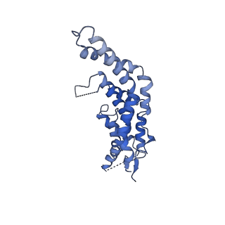 20316_6pem_5_v1-2
Focussed refinement of InvGN0N1:SpaPQR:PrgHK from Salmonella SPI-1 injectisome NC-base