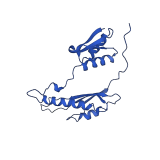 20316_6pem_AA_v1-2
Focussed refinement of InvGN0N1:SpaPQR:PrgHK from Salmonella SPI-1 injectisome NC-base