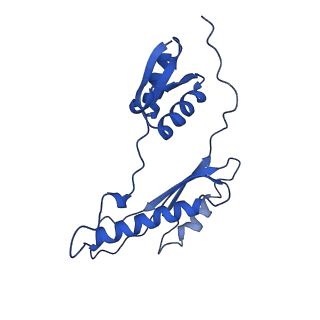 20316_6pem_AC_v1-2
Focussed refinement of InvGN0N1:SpaPQR:PrgHK from Salmonella SPI-1 injectisome NC-base