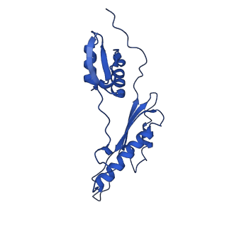 20316_6pem_AD_v1-2
Focussed refinement of InvGN0N1:SpaPQR:PrgHK from Salmonella SPI-1 injectisome NC-base