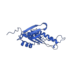 20316_6pem_AE_v1-2
Focussed refinement of InvGN0N1:SpaPQR:PrgHK from Salmonella SPI-1 injectisome NC-base