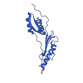 20316_6pem_AI_v1-2
Focussed refinement of InvGN0N1:SpaPQR:PrgHK from Salmonella SPI-1 injectisome NC-base