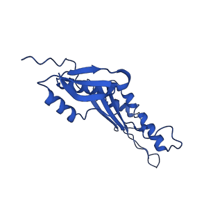 20316_6pem_AJ_v1-2
Focussed refinement of InvGN0N1:SpaPQR:PrgHK from Salmonella SPI-1 injectisome NC-base
