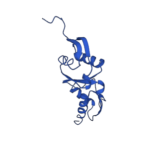 20316_6pem_I_v1-2
Focussed refinement of InvGN0N1:SpaPQR:PrgHK from Salmonella SPI-1 injectisome NC-base