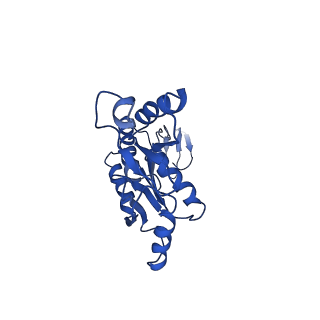 20316_6pem_V_v1-2
Focussed refinement of InvGN0N1:SpaPQR:PrgHK from Salmonella SPI-1 injectisome NC-base