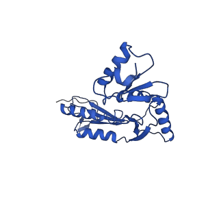 20316_6pem_Z_v1-2
Focussed refinement of InvGN0N1:SpaPQR:PrgHK from Salmonella SPI-1 injectisome NC-base