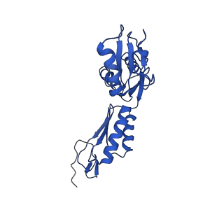 20316_6pem_f_v1-2
Focussed refinement of InvGN0N1:SpaPQR:PrgHK from Salmonella SPI-1 injectisome NC-base