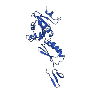 20316_6pem_j_v1-2
Focussed refinement of InvGN0N1:SpaPQR:PrgHK from Salmonella SPI-1 injectisome NC-base