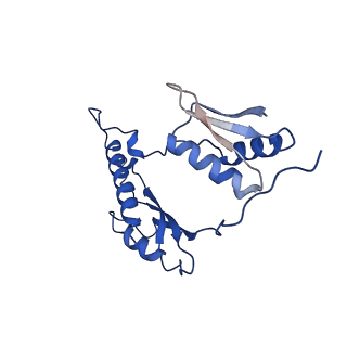 20316_6pem_w_v1-2
Focussed refinement of InvGN0N1:SpaPQR:PrgHK from Salmonella SPI-1 injectisome NC-base