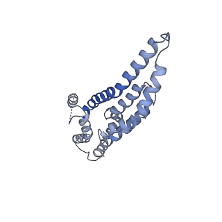 20317_6pep_1_v1-2
Focussed refinement of InvGN0N1:SpaPQR:PrgIJ from the Salmonella SPI-1 injectisome needle complex