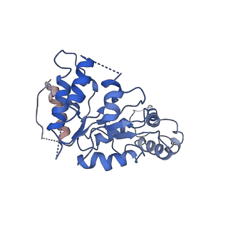 20320_6pe0_A_v1-1
Msp1 (E214Q)-substrate complex