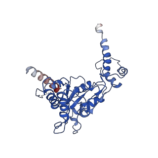 20320_6pe0_B_v1-1
Msp1 (E214Q)-substrate complex