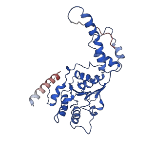 20320_6pe0_C_v1-1
Msp1 (E214Q)-substrate complex