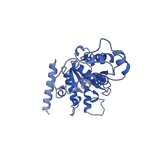 20320_6pe0_D_v1-1
Msp1 (E214Q)-substrate complex