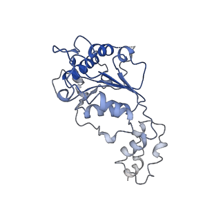 20320_6pe0_F_v1-1
Msp1 (E214Q)-substrate complex