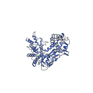 20321_6pe2_A_v1-3
Drosophila P element transposase strand transfer complex
