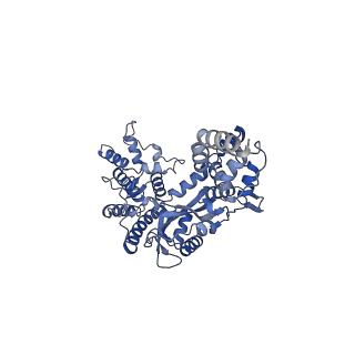 20321_6pe2_A_v1-4
Drosophila P element transposase strand transfer complex