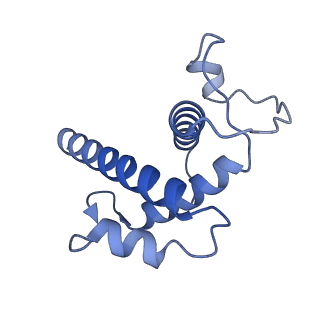 20321_6pe2_B_v1-3
Drosophila P element transposase strand transfer complex