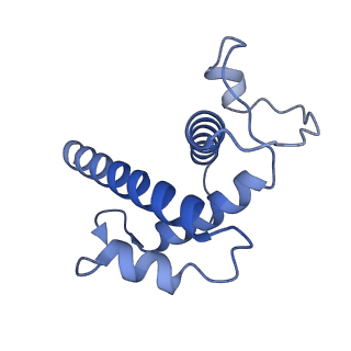 20321_6pe2_B_v1-4
Drosophila P element transposase strand transfer complex