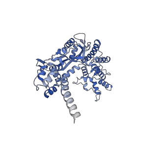 20321_6pe2_G_v1-3
Drosophila P element transposase strand transfer complex