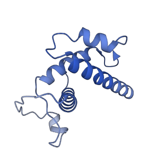 20321_6pe2_H_v1-3
Drosophila P element transposase strand transfer complex