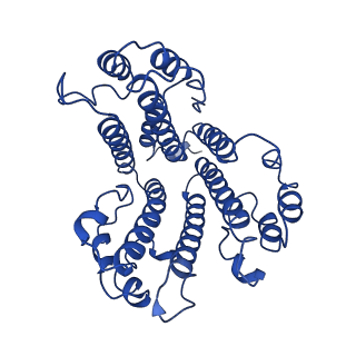 20322_6pe4_D_v1-3
Yeast Vo motor in complex with 1 VopQ molecule