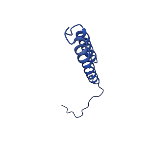 20322_6pe4_E_v1-3
Yeast Vo motor in complex with 1 VopQ molecule