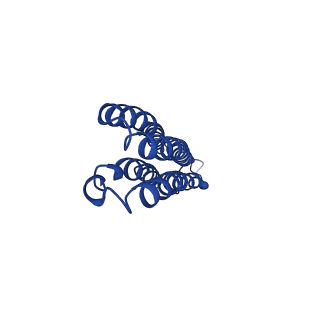 20322_6pe4_O_v1-3
Yeast Vo motor in complex with 1 VopQ molecule