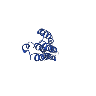 20322_6pe4_P_v1-3
Yeast Vo motor in complex with 1 VopQ molecule