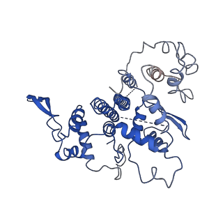 20322_6pe4_Q_v1-3
Yeast Vo motor in complex with 1 VopQ molecule