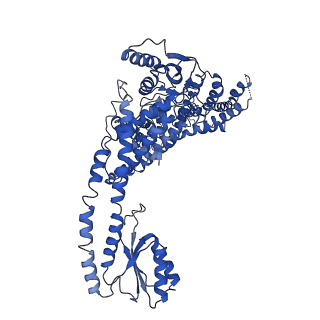 20323_6pe5_A_v1-2
Yeast Vo motor in complex with 2 VopQ molecules