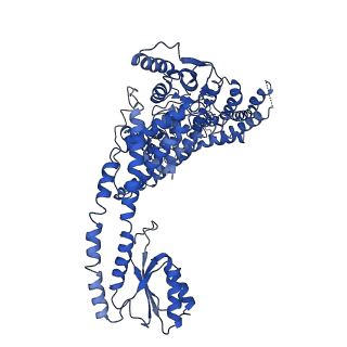 20323_6pe5_A_v1-3
Yeast Vo motor in complex with 2 VopQ molecules