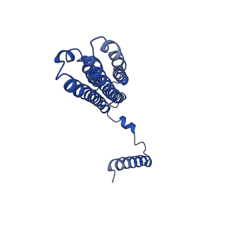 20323_6pe5_G_v1-3
Yeast Vo motor in complex with 2 VopQ molecules