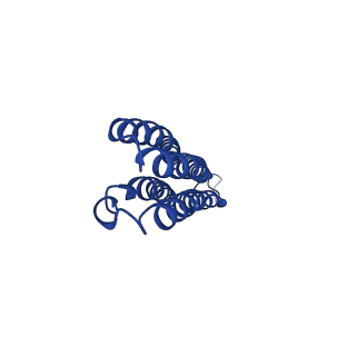 20323_6pe5_O_v1-3
Yeast Vo motor in complex with 2 VopQ molecules