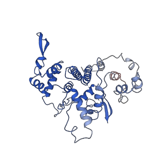 20323_6pe5_Q_v1-3
Yeast Vo motor in complex with 2 VopQ molecules