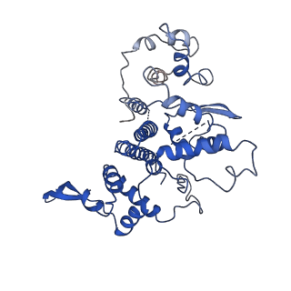 20323_6pe5_R_v1-3
Yeast Vo motor in complex with 2 VopQ molecules