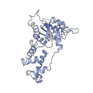 20327_6pek_A_v1-3
Structure of Spastin Hexamer (Subunit A-E) in complex with substrate peptide