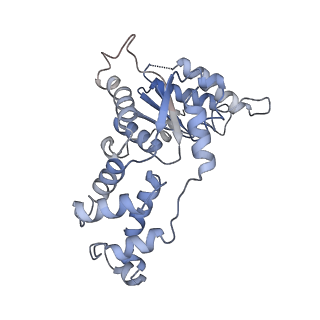 20327_6pek_A_v1-4
Structure of Spastin Hexamer (Subunit A-E) in complex with substrate peptide