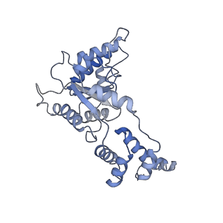 20327_6pek_B_v1-4
Structure of Spastin Hexamer (Subunit A-E) in complex with substrate peptide