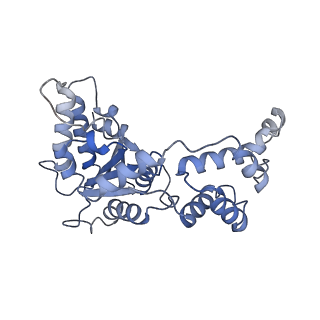20327_6pek_C_v1-3
Structure of Spastin Hexamer (Subunit A-E) in complex with substrate peptide