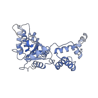 20327_6pek_C_v1-4
Structure of Spastin Hexamer (Subunit A-E) in complex with substrate peptide