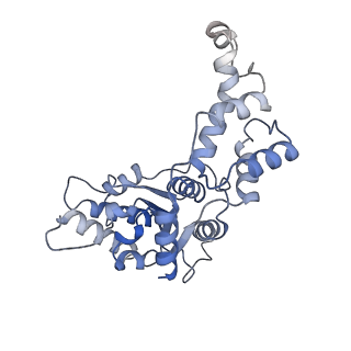 20327_6pek_D_v1-3
Structure of Spastin Hexamer (Subunit A-E) in complex with substrate peptide