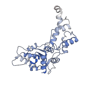 20327_6pek_D_v1-4
Structure of Spastin Hexamer (Subunit A-E) in complex with substrate peptide